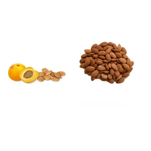 Оптовая продажа органических ядер Горького абрикоса питательные ядра сырья для продажи