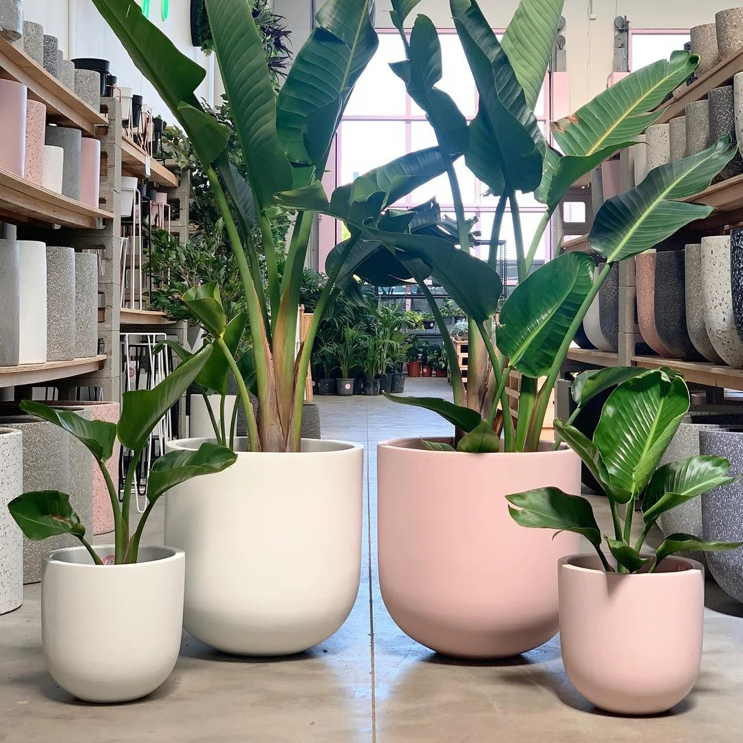 4 different size Large white pink concrete outdoor giant large size flower pot and planter for garden with good prices