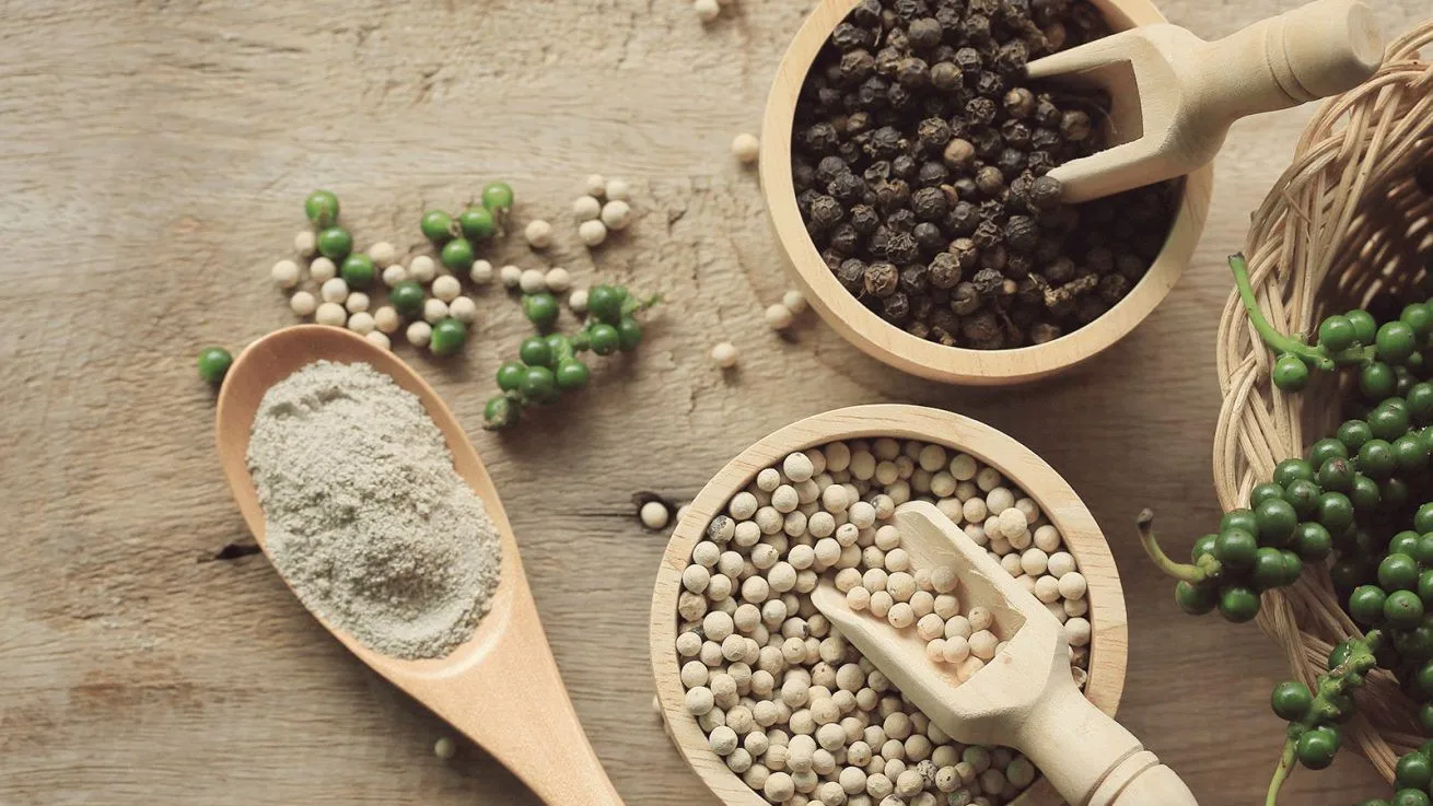 where to buy white pepper Best quality / price of white pepper vietnam / dongdo