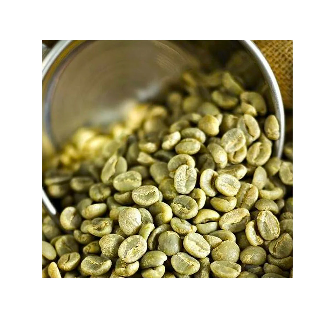 Products in Bulk Medium Dark Italian Roasted Coffee Bag Earthy Flavor  Energy Drink Arabica Coffee Beans