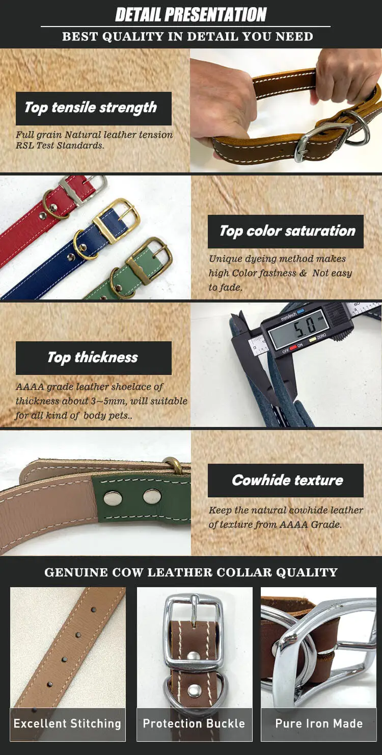 Full Grain Leather Layer Pet Collar