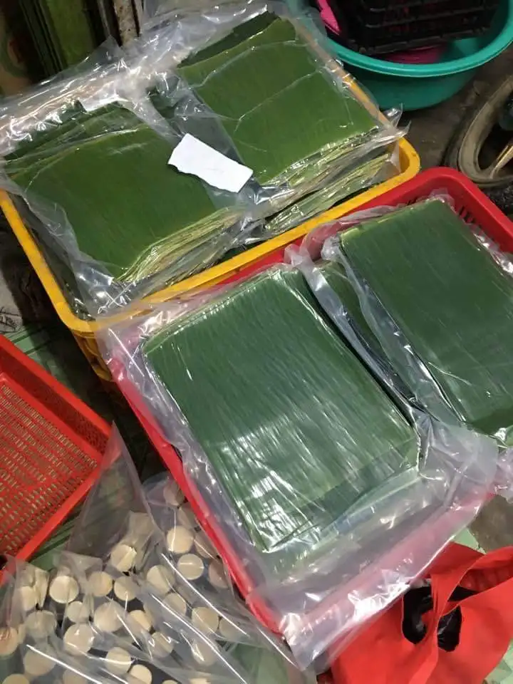 Свежие банановые листья из вьетнамских банановых листьев оптовые поставщики