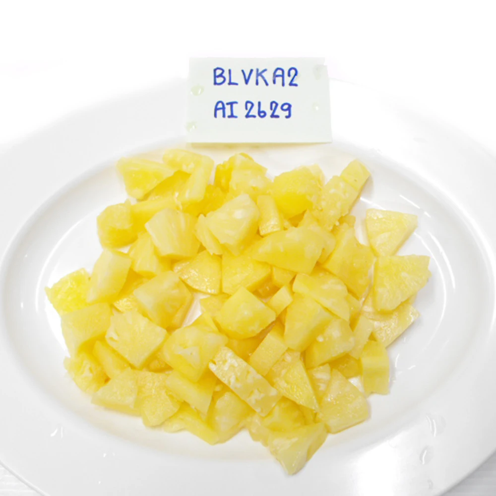 Canned Pineapple Broken Slices 15oz Hand Cut - Canned Pineapple Slices in Syrup with Great Quality