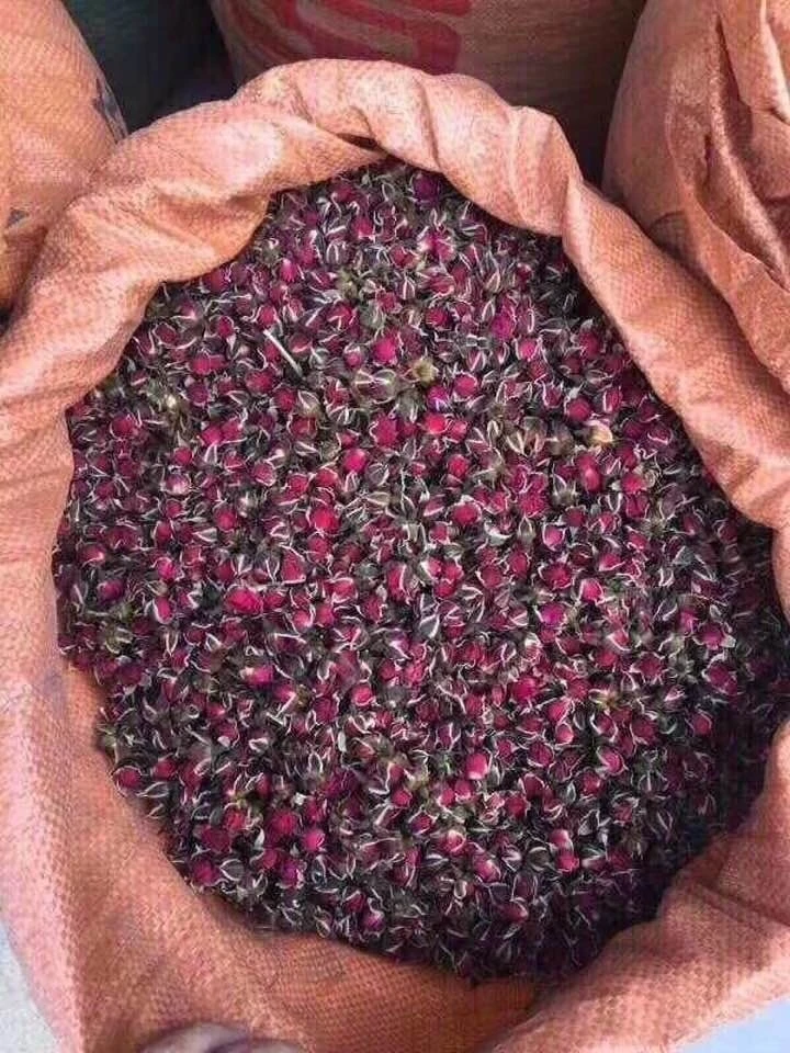 OEM Tea Bag Edible Dried Rose Buds High Quality Rose Bud Tea with Natural Herbal   W/A : +84 90 335 4981 ( Kim )