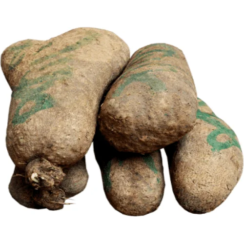 
White Yam Root Organic Yam Fresh Yam for Sale 