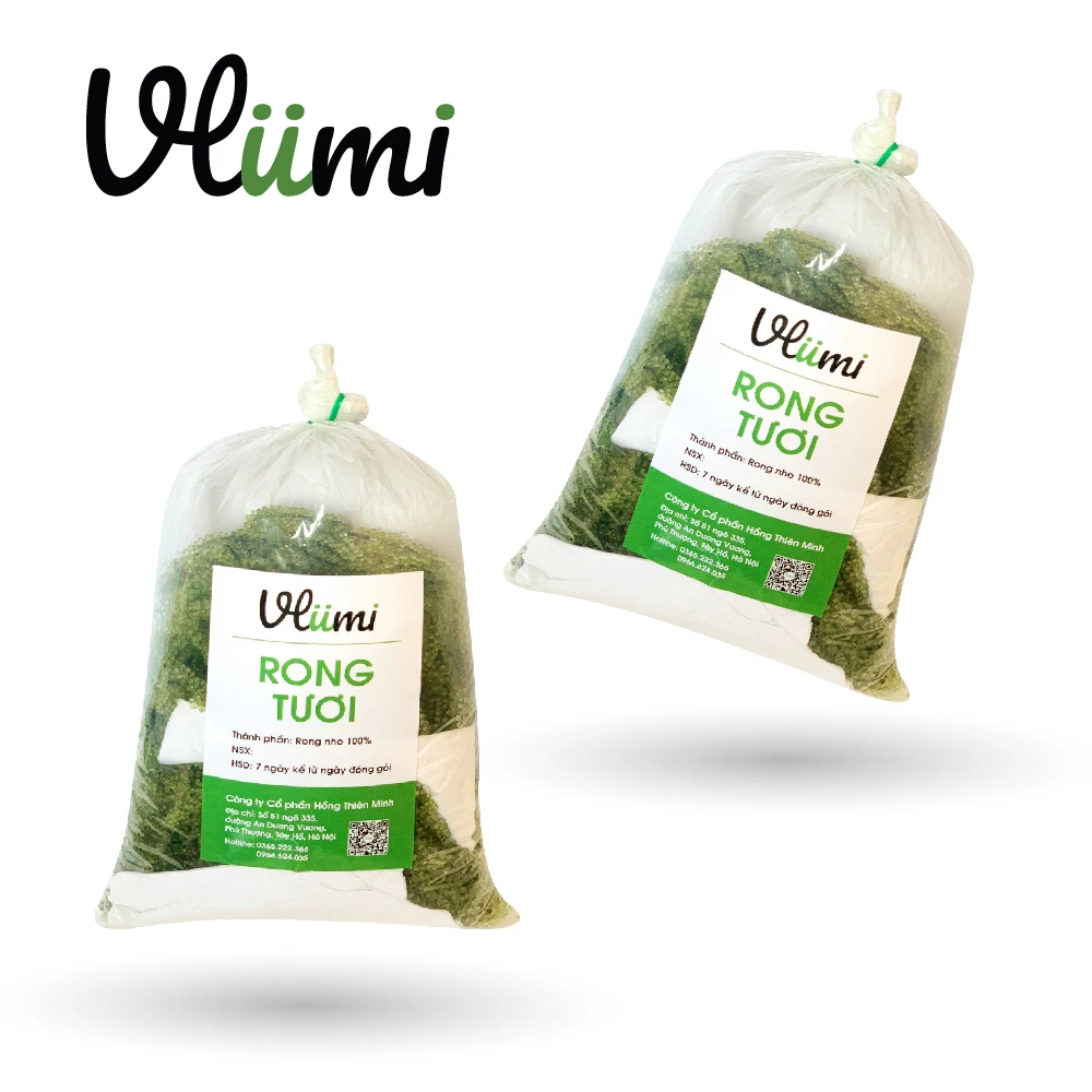 VLUMI Vietnam Exporter Natural Flavoured Organic Fresh Sea Grapes - Caulerpa lentillifera