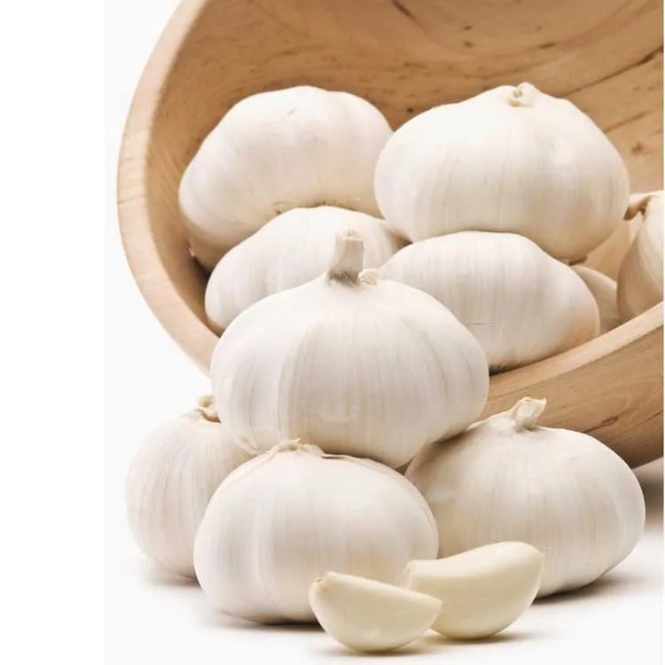 
Fresh White Normal White Garlic in 20KG Mesh Bags For Sale 