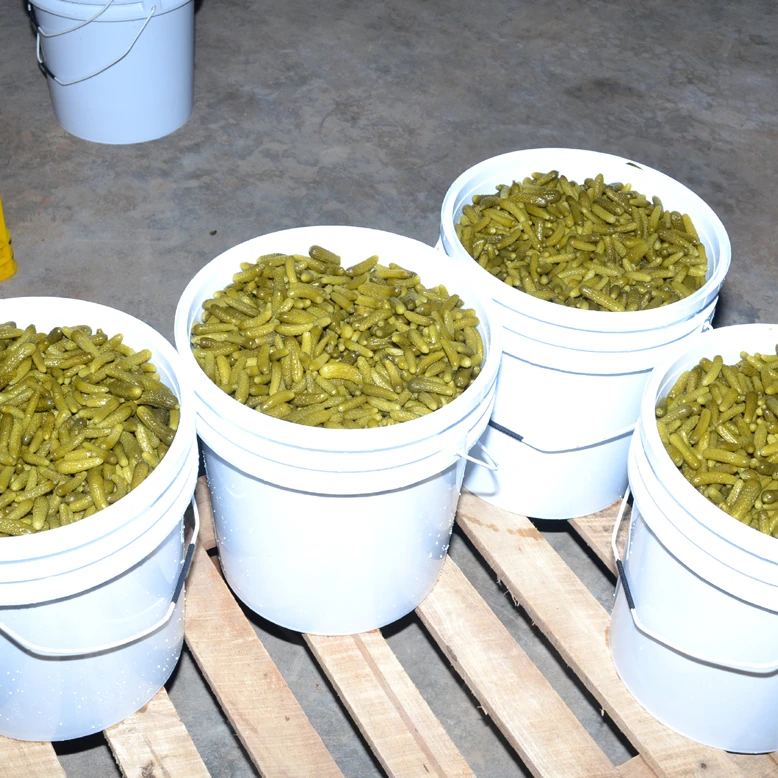 Fermented Cucumbers in gherkins