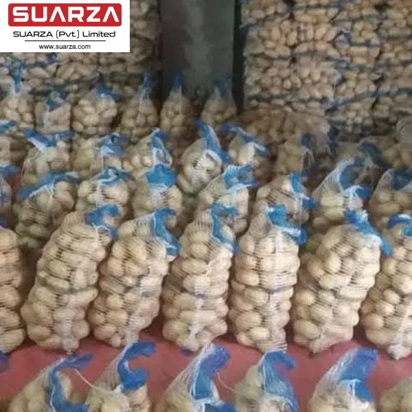 Top Quality Competitive Price Fresh Potato