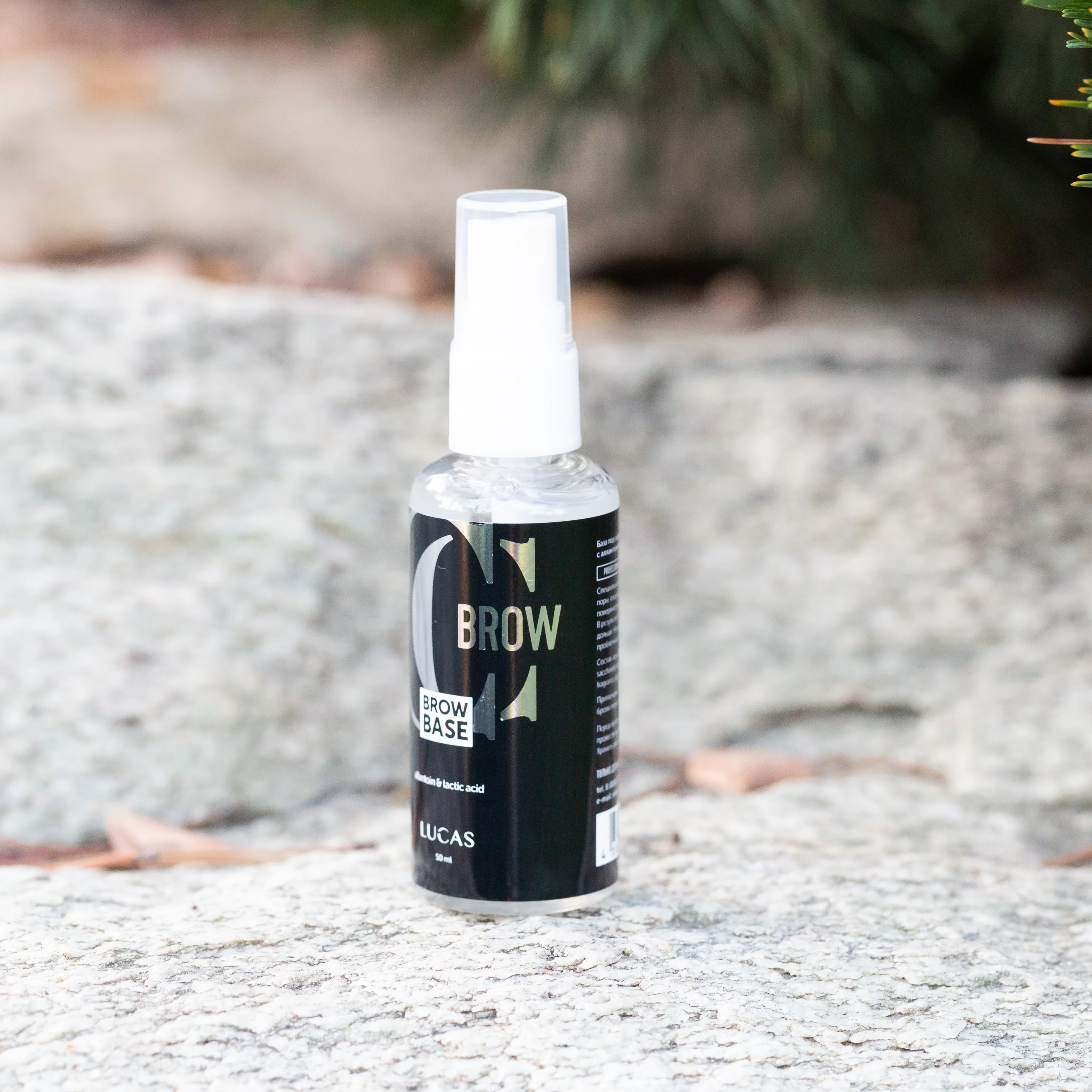 Preparation for coloring eyebrow base effectively defoliates skin with the help of lactic acid, eyebrows