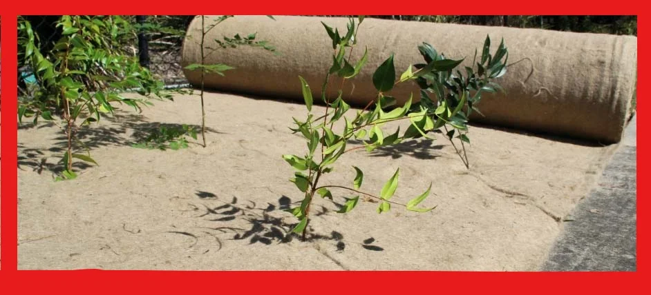 Jute Felt or Jute Matting with Scrim Cloth 100 % Natural Slit or Plain for Weed Control in 4 or 6 Needle Punched Nonwoven ESKAY