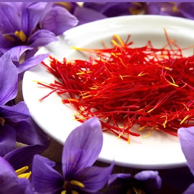 Saffron High Quality, Super Nagin Saffron, Sargol Saffron, Poshali Saffron