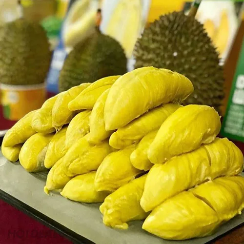 Wholesale Vietnam Fresh Durian/Best Price - High Quality