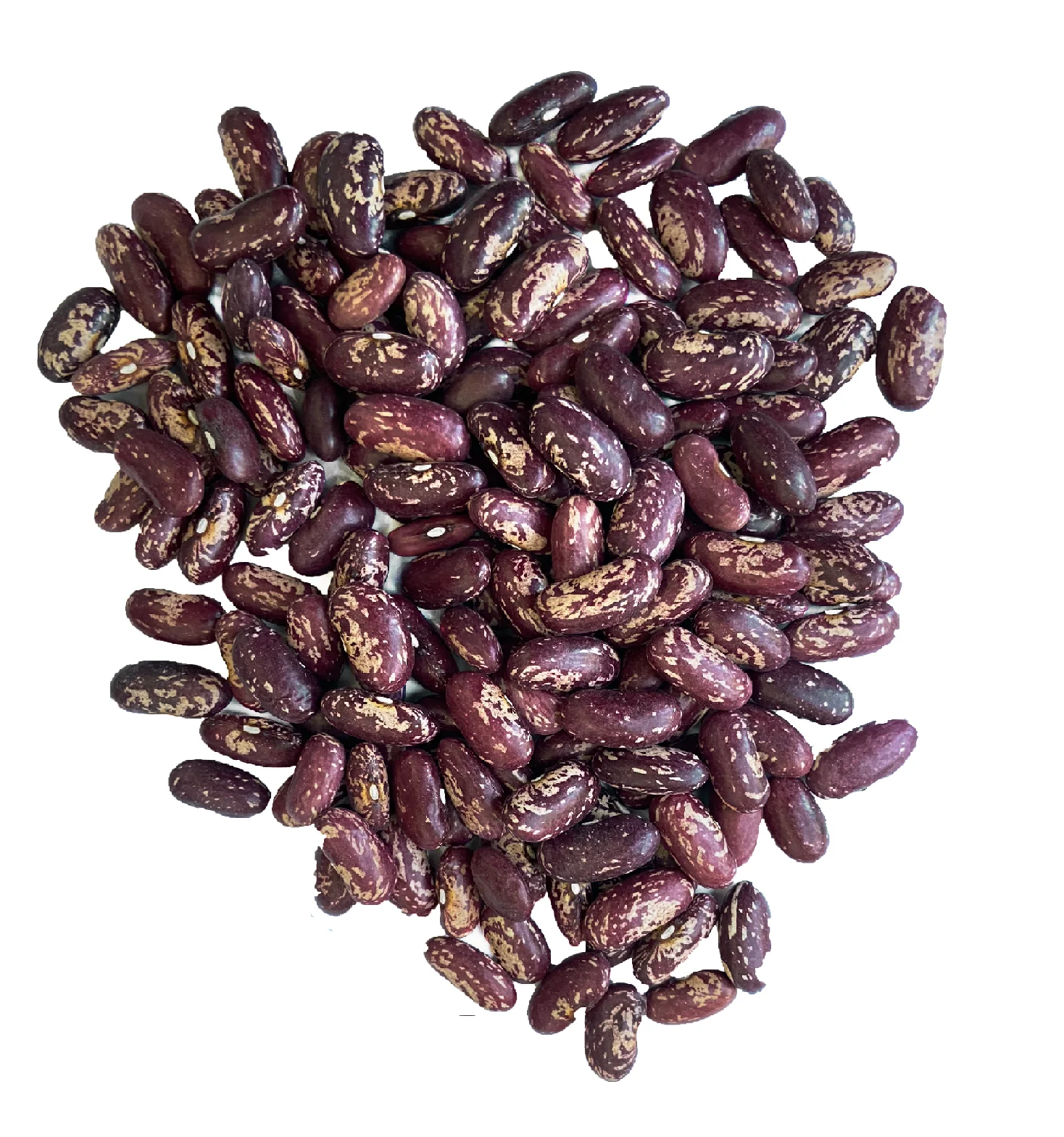 Crop 2021 October wholesale high quality from Uzbekistan bags 25 kg natural dried red speckled kidney beans