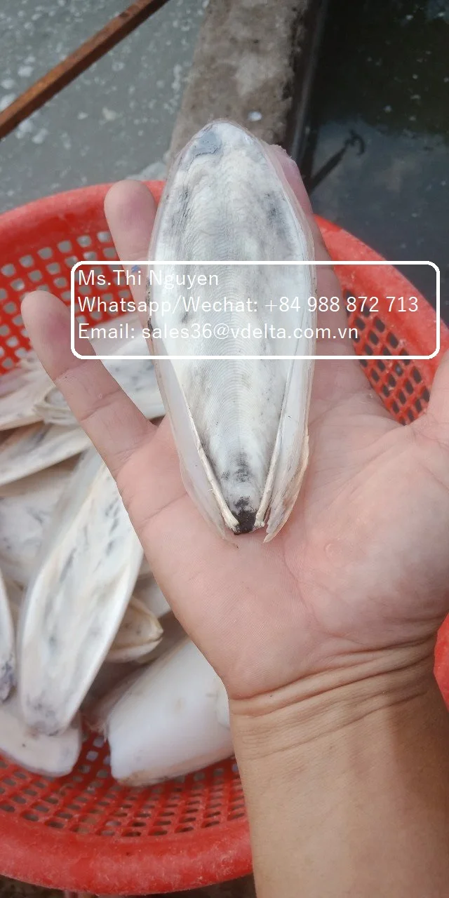 Оптовая продажа костей для морской Слепки птиц и корма животных/Ms.Thi Нгуен + 84 988 872 713