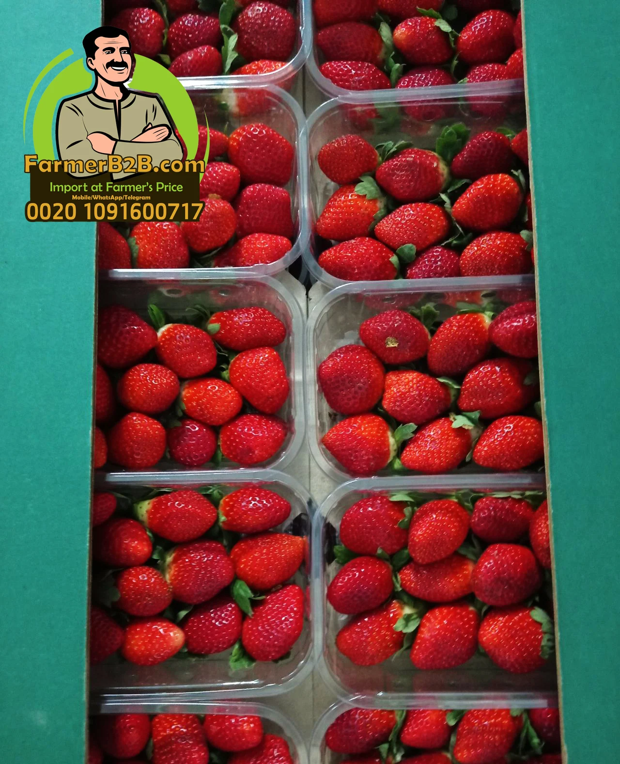 Свежая клубника 2021/2022 европейского качества + очень конкурентоспособная цена