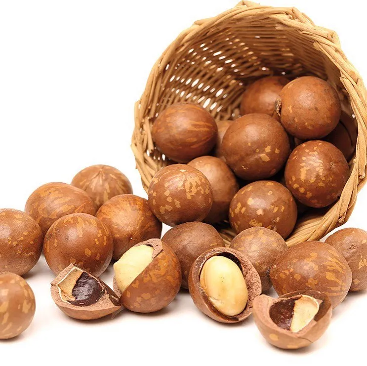 Высококачественные орехи макадамии, сырые органические сушеные орехи макадамии