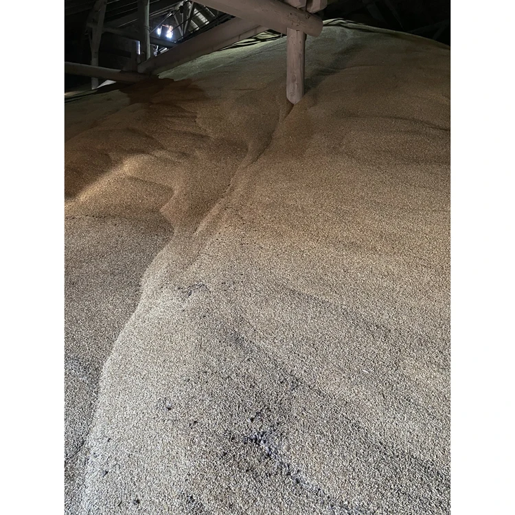Bulk packed barley grain for feeding wholesale price, barley grain prices