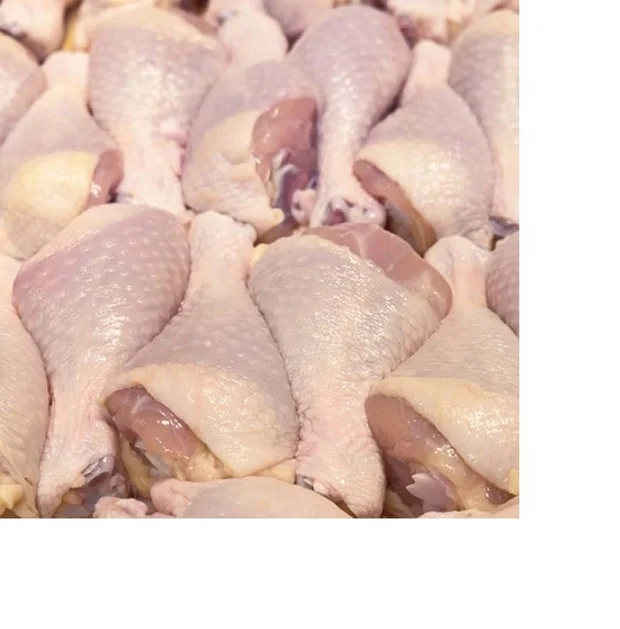 Quality Halal Frozen Chicken Drumstick/ Thighs at good prices