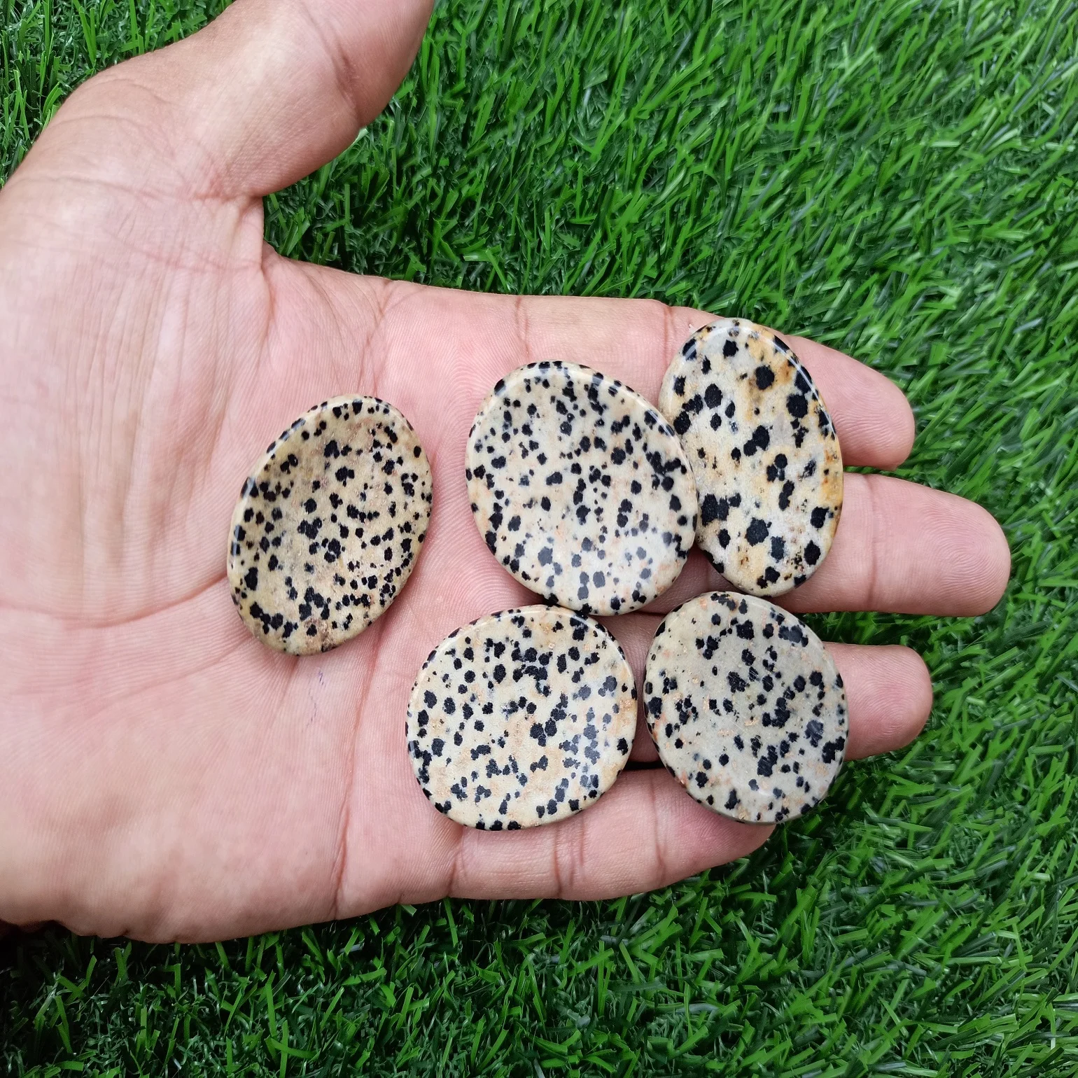 Natural Crystal Wholesale Gemstones  Dalmatian Jasper  WorryStone  Thumb Stone Oval Beautiful Super Quality