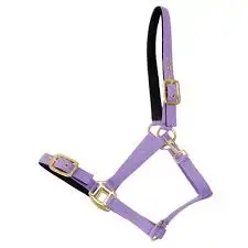 low price  Nylon Halter Sports & Entertainment>Outdoor Affordable Luxury Sports>Horse Racing>Halters