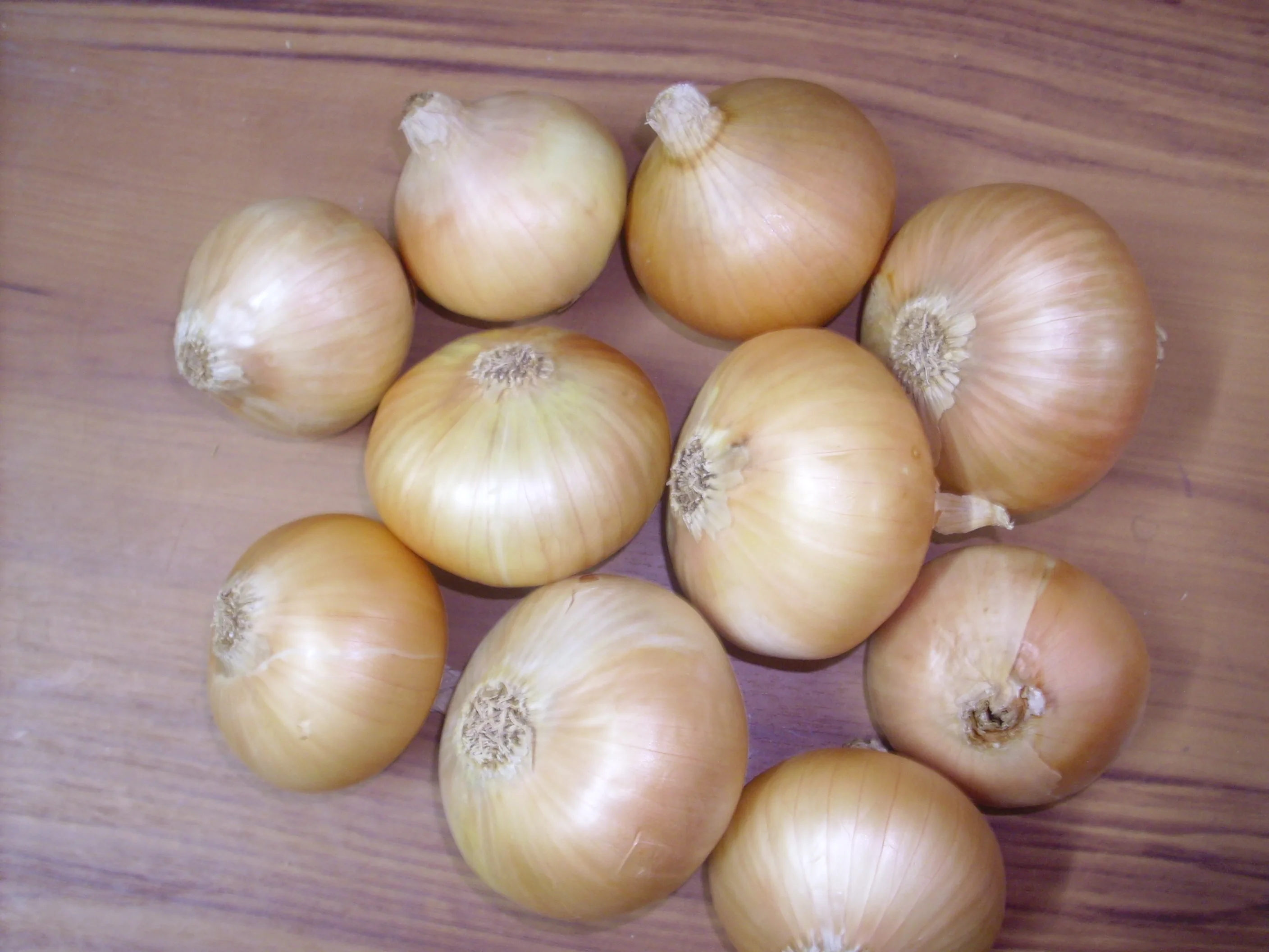 Fresh Yellow onions