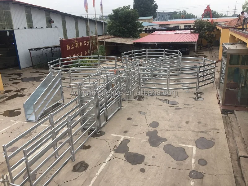 QQ20190911163713.jpg