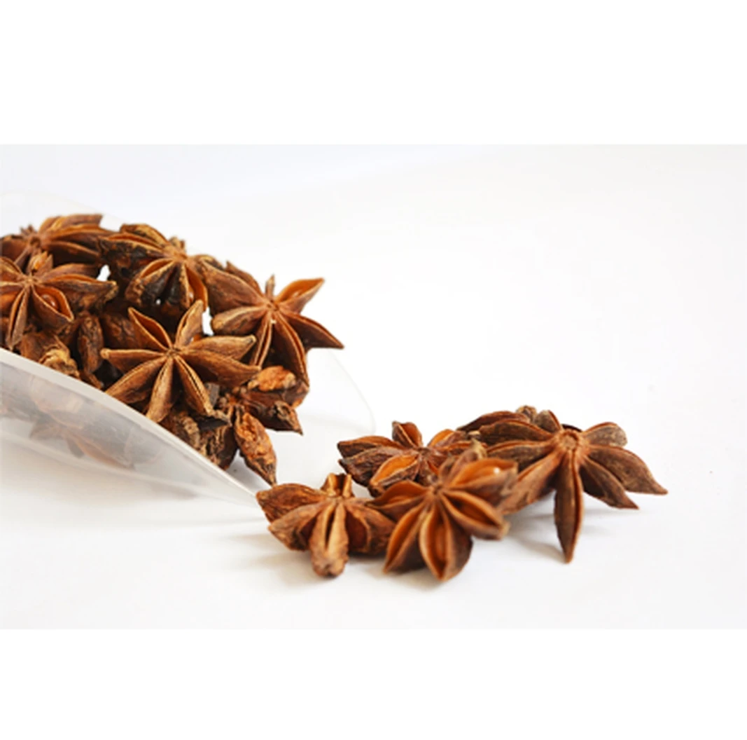 2021 Wholesale Viet Nam Factory Supplier Natural star anise Best Quality For Seasoning Harmless Healthy for SALE