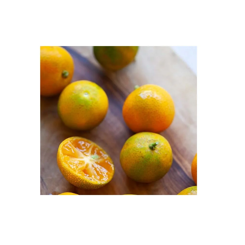 
100% Pure Sour and Sweet Fresh Calamansi Lime Puree for Juice or Beverages With Shelf Life In 13 Months made in Vietnam 