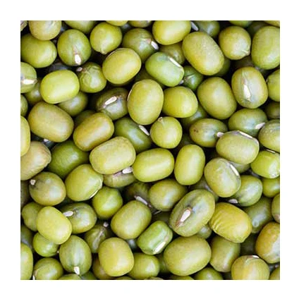 
2021 Vigna Mung Beans / Green Mung Beans Wholesale Top Quality In Bulk 
