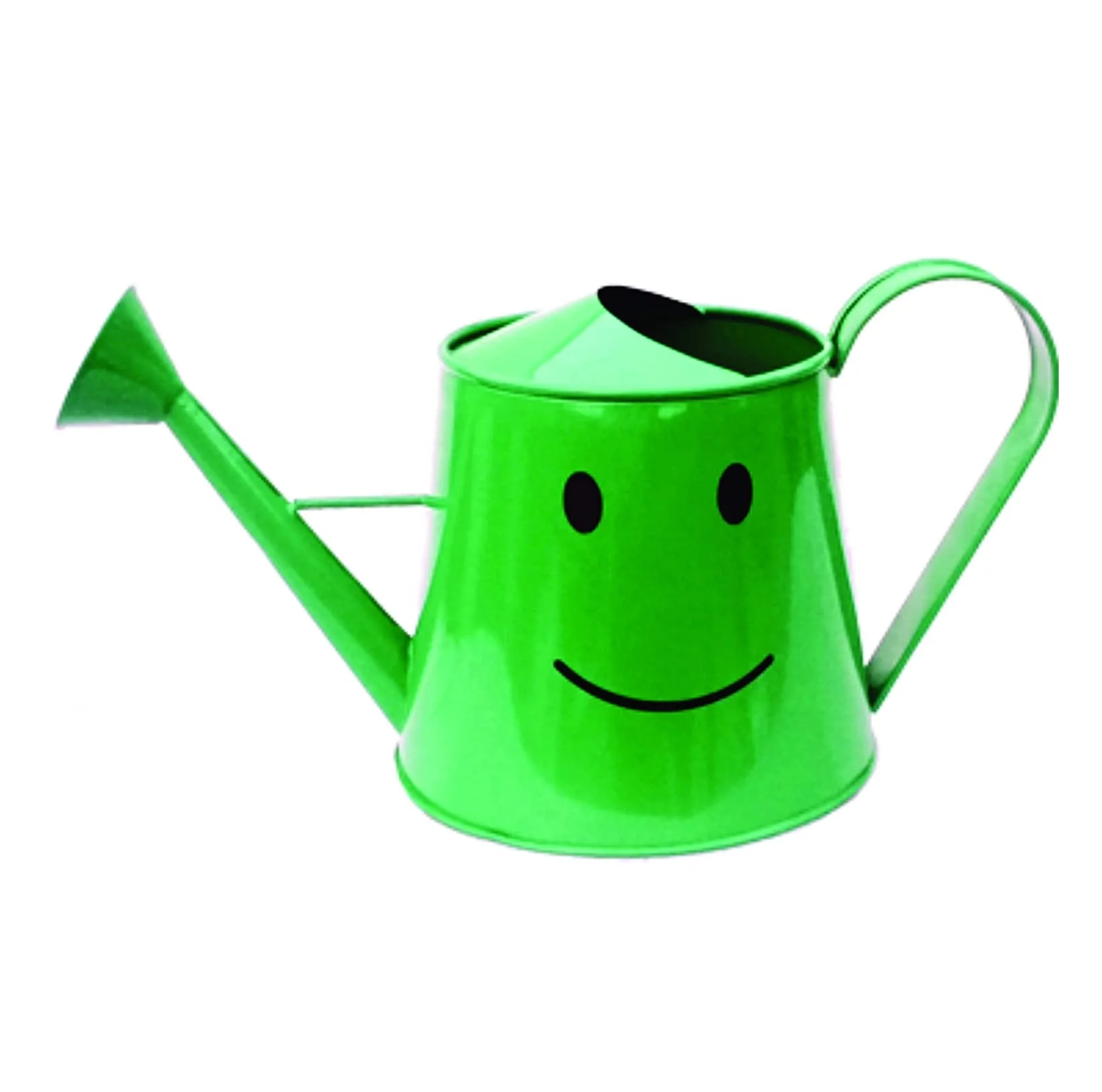 Металлические кастрюли для воды 3 литра железа круглая кастрюля полива без ржавчины домашнего декора украшения сада набор инструментов садоводства