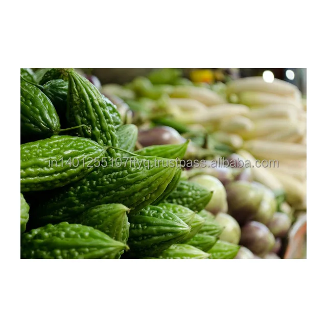 IQF Bitter Gourd Slice High Quality IQF Frozen Mixed Vegetables with Good Price Bulk Style Packaging