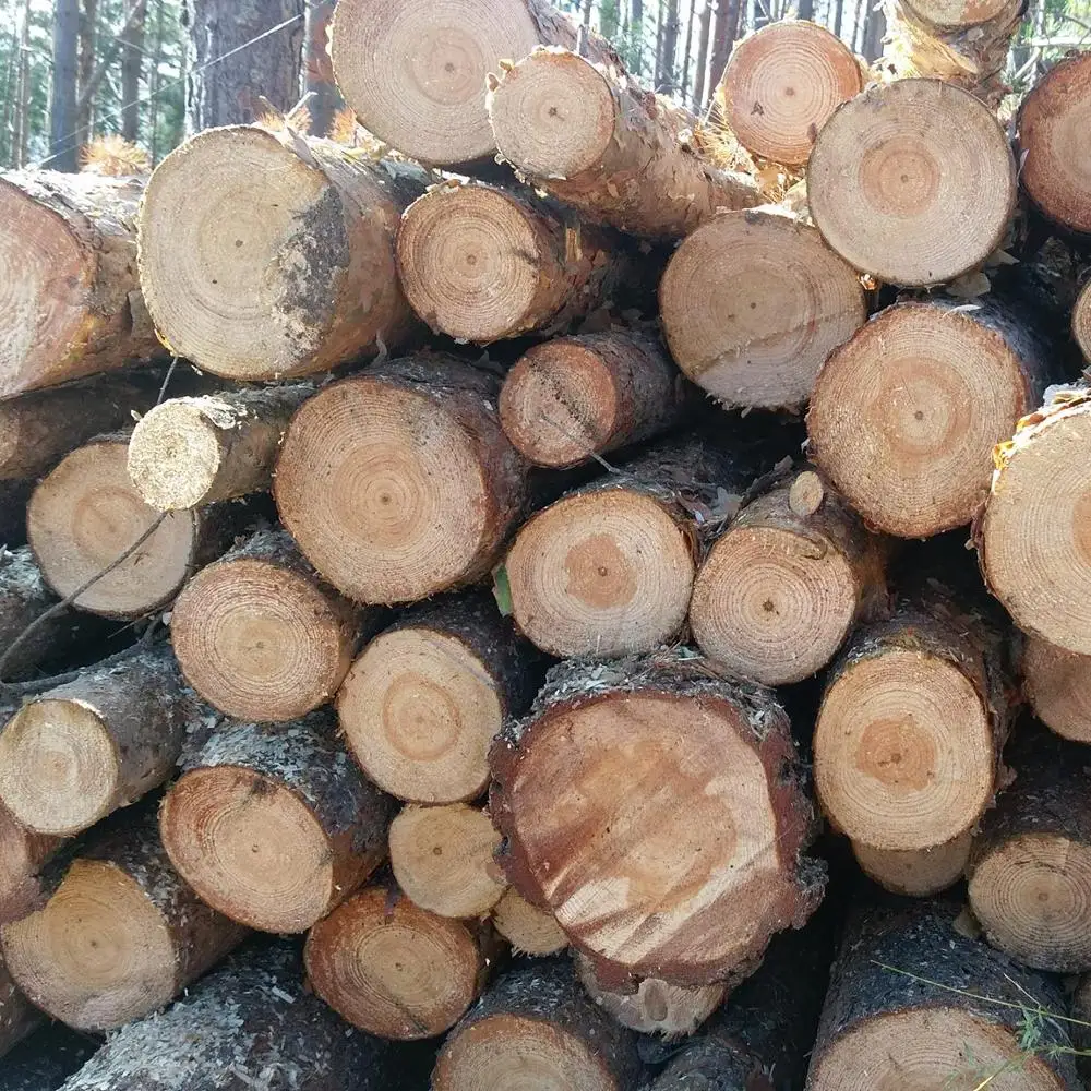 Деревянные бревна из красного и белого дуба для продажи