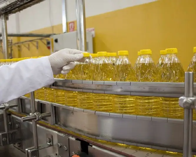 
Best Refined High Quality Crude Jatropha Oil for Sale 