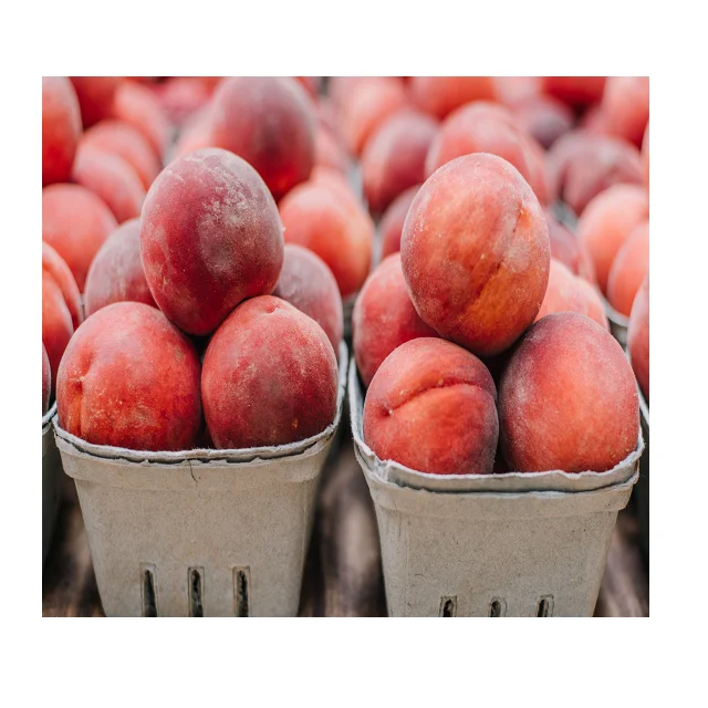 100% натурального пакистанского персики в доступная получения информации об оптовой цене