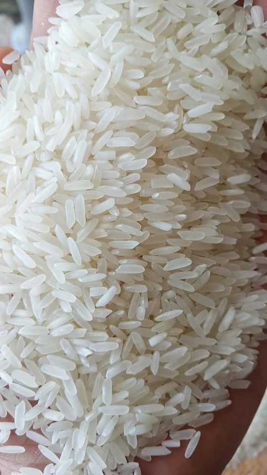 Fragrant DT8 Vietnam Long Grain White Rice 5%/15% Broken in Vietnam