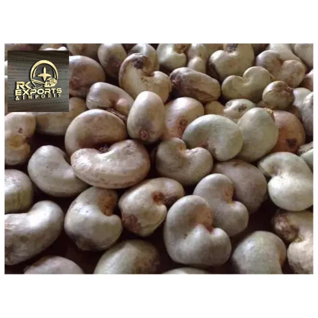 Raw Cashew Nut / kaju / Raw Cashew Kernels / Cashew Origin India wholesale supplier and exporter from india +919786060004
