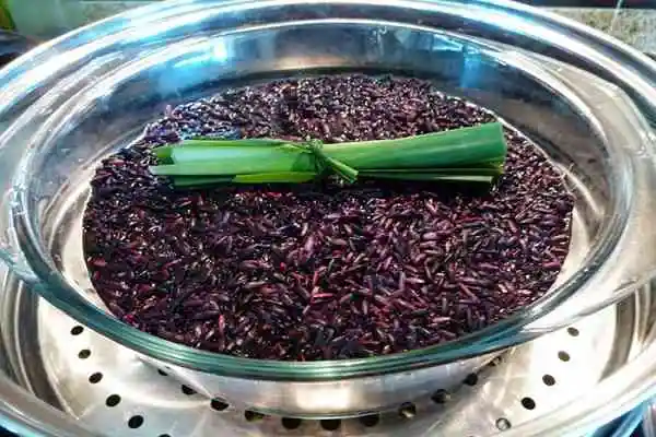  Здоровый темно-фиолетовый рис от производителя черный фиолетовый органический Oryza посева глютиновый (Ms Деми + 84 961 733 400)