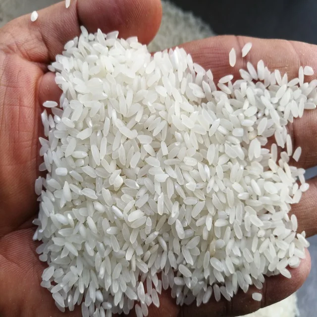short grain white rice