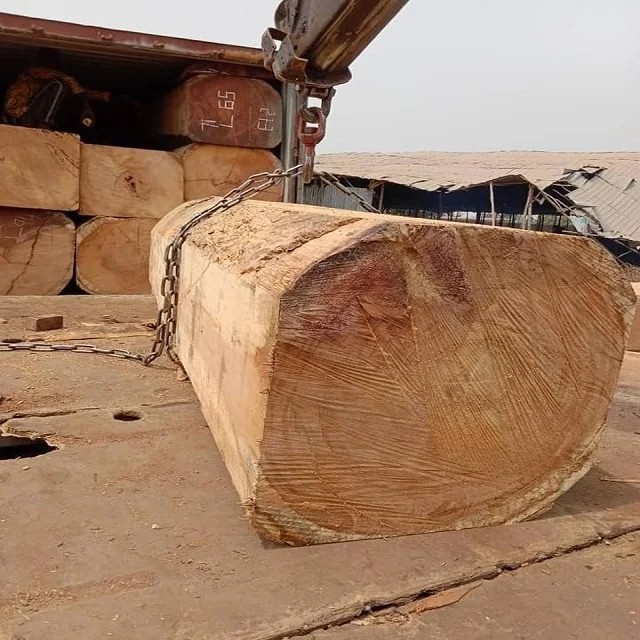 Chenchen Wood (Antiaris Africana) Square And Round Logs