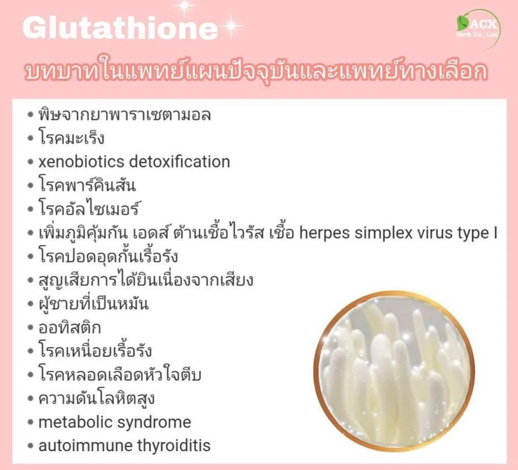 Натуральный чай Maca Cordyceps, добавки для безалкогольных напитков, забота о здоровье, премиальное качество из Таиланда на 100% экспорт