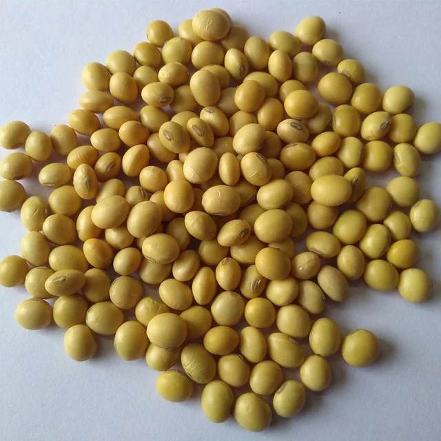 
Soybeans NON-GMO Soya Beans Soybeans Crop High Quality Soybean/Soya Bean Wholesale 