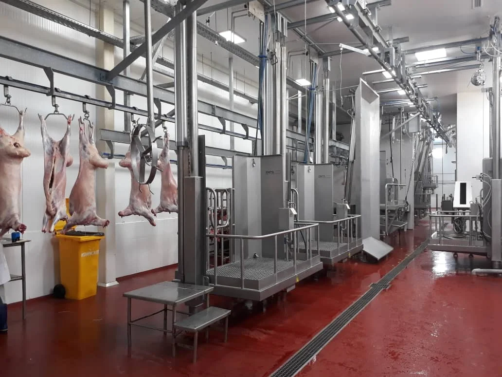 
 Охлажденное мясо Халяль Премиум ягненок  