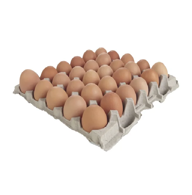 Organic Fresh Chicken Table Eggs & Fertilized Hatching Eggs USA origin