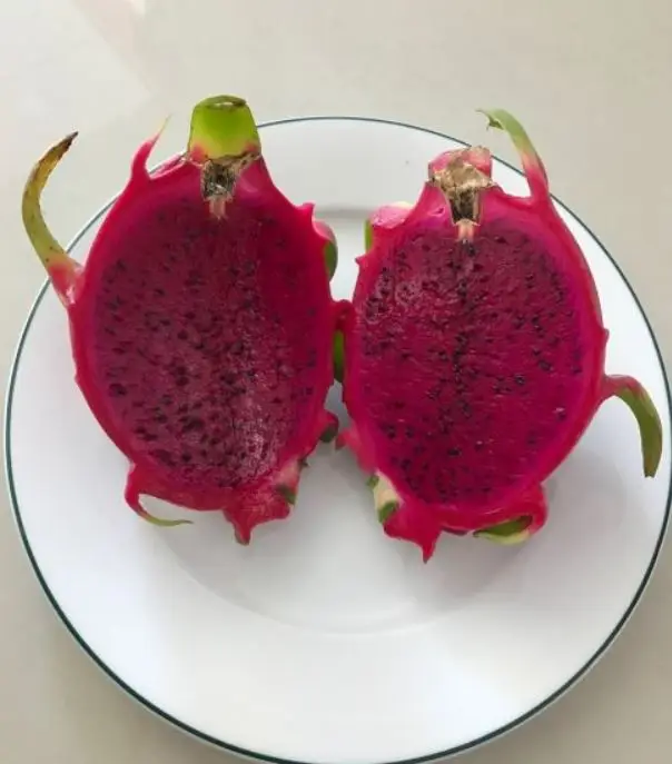 Высокое качество/Свежий фрукт дракона выращиваемый во Вьетнаме/Лучшая цена