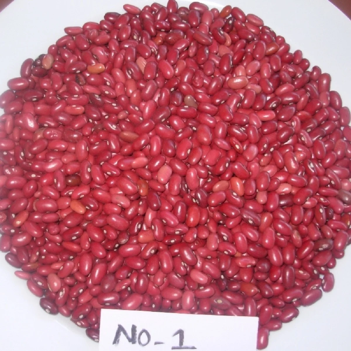 Wholesale Pinto Red Beans Speckled Kidney Beans