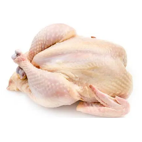 HALAL Frozen Whole Chicken For Sale
