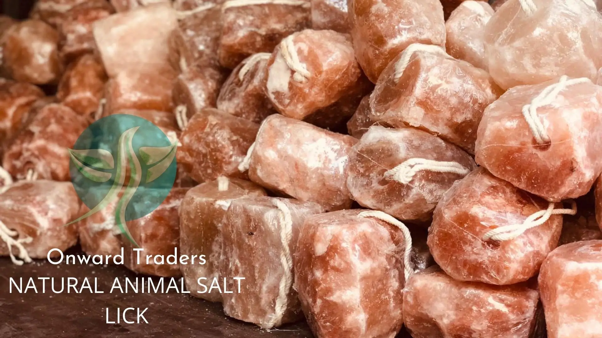 Rock Salt Lick / Pink Salt Lick