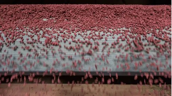 
Bulk Dog food Royal Canin Grade for your Brand for Adult dog food Made in Thailand Good value 23% protein, 12% Fat, 3.5% Fiber 