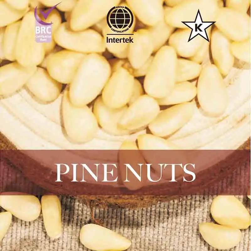 China Processing Plant Hot Selling Pine Seed  Pine Nuts Kernels
